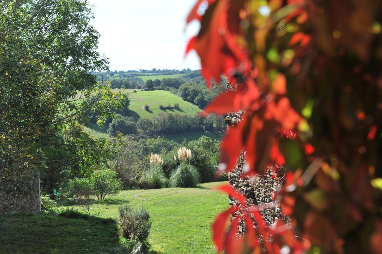 Chambres D'Hotes Le Puits D'Amour Mirandol-Bourgnounac Buitenkant foto