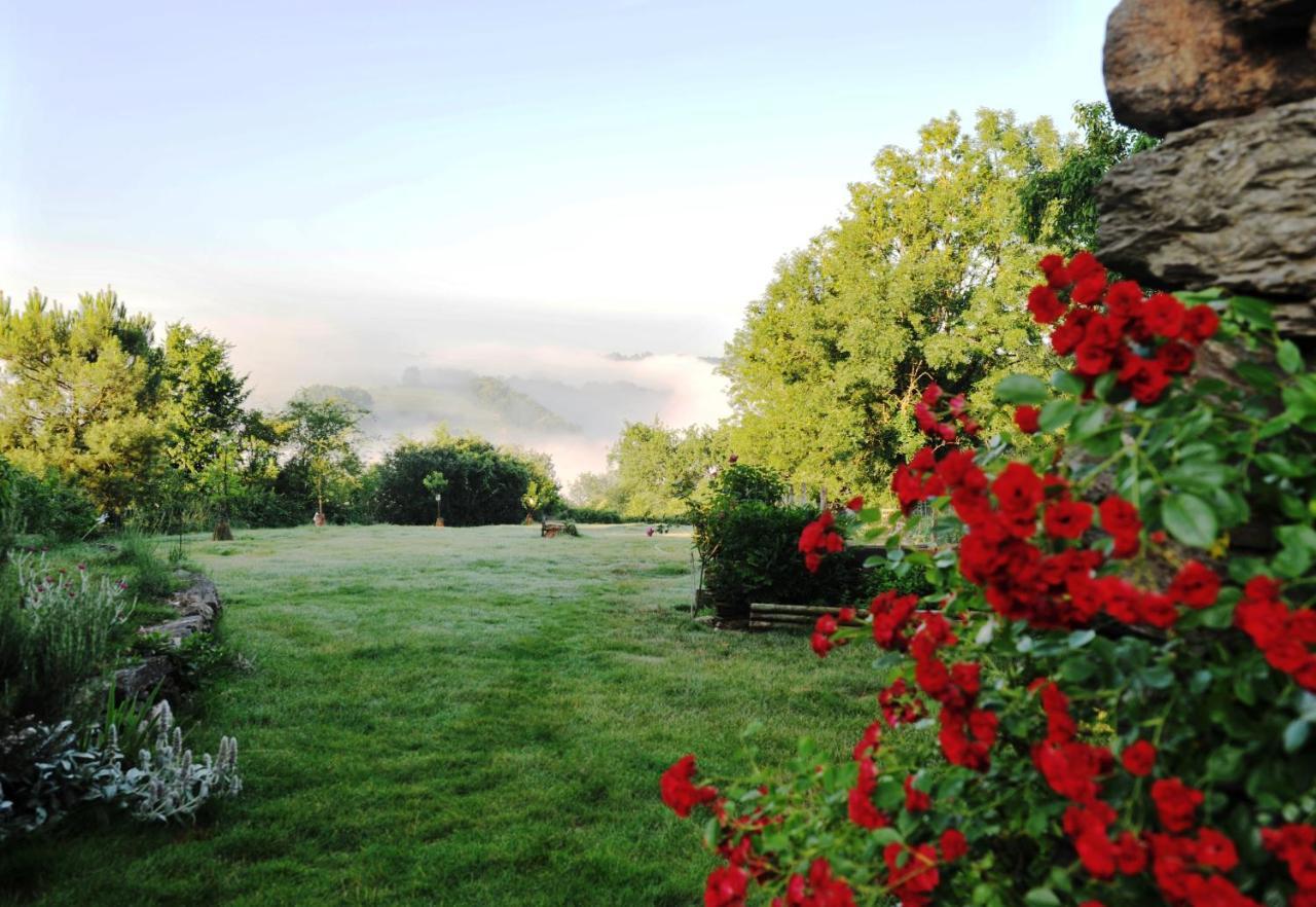 Chambres D'Hotes Le Puits D'Amour Mirandol-Bourgnounac Buitenkant foto